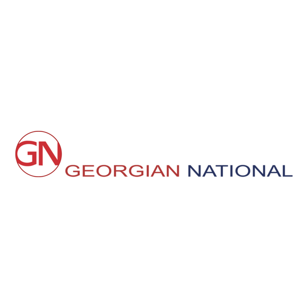 Georgian National airlines Logo PNG Vector
