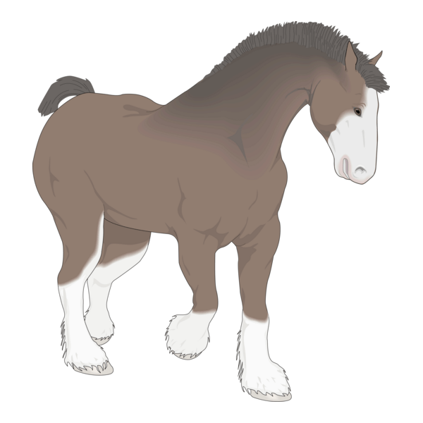 Horse Logo PNG Vector