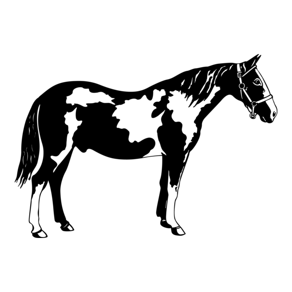 Horse Logo PNG Vector
