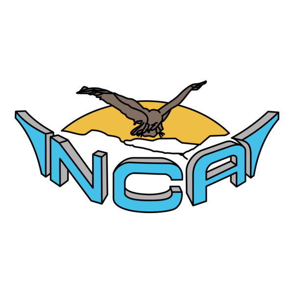 Namibia commercial aviation Logo PNG Vector