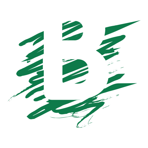 Scrible B Letter Logo PNG Vector