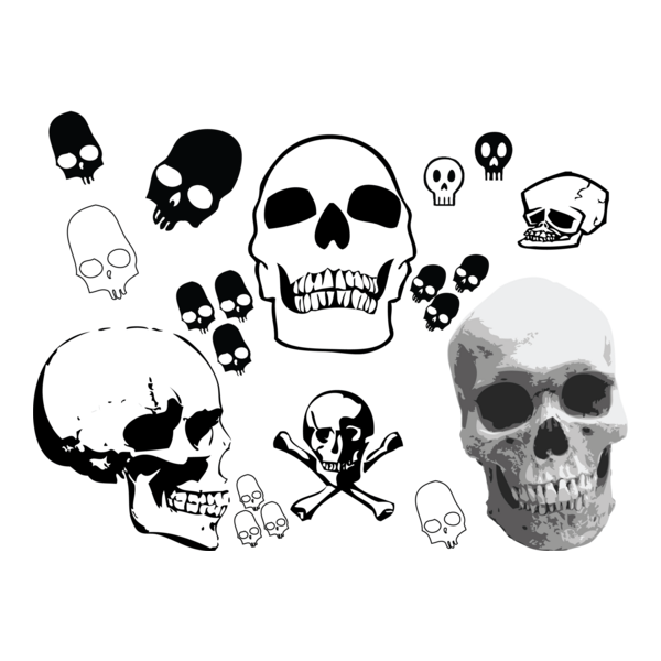 Skull Bro Logo PNG Vector