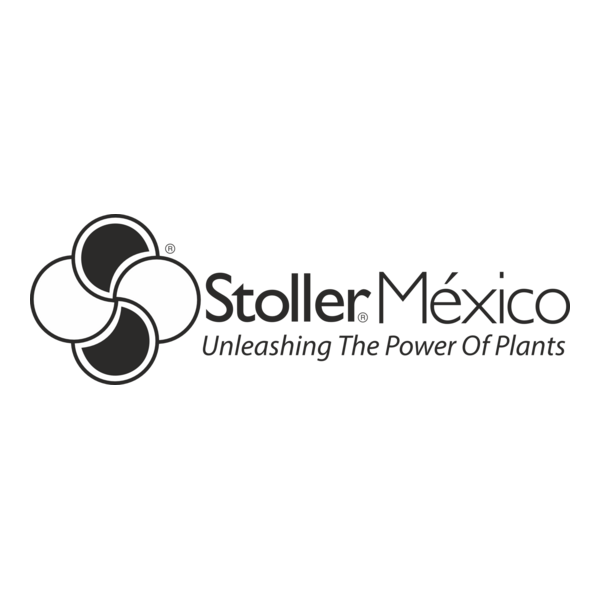 Stoller Logo PNG Vector