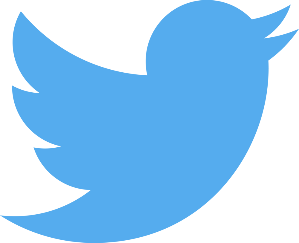 Twitter Logo PNG Vector