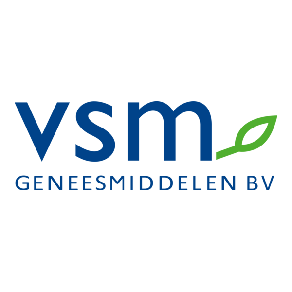 VSM Logo PNG Vector