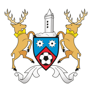 Ards FC Logo PNG Vector