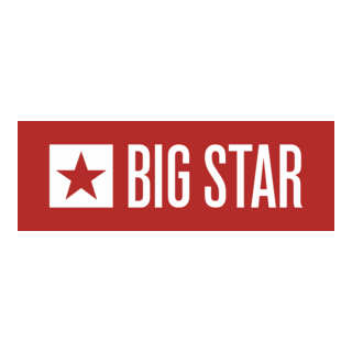 Big Star Logo PNG Vector