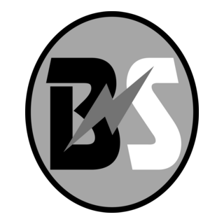 BS Logo PNG Vector