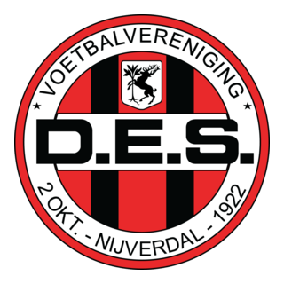 DES Nijverdal Logo PNG Vector