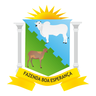 fazenda boa esperança Curimatá-PI Logo PNG Vector