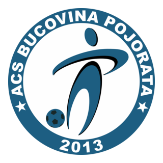 FC Bucovina Pojorâta Logo PNG Vector