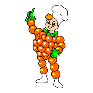 Flipje van Tiel Logo PNG Vector