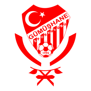 Gumushanespor Logo PNG Vector