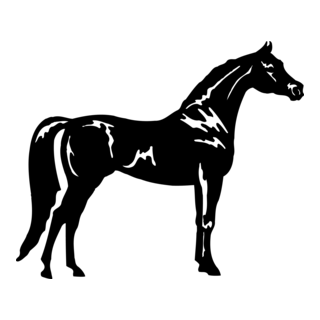 Horse Logo PNG Vector