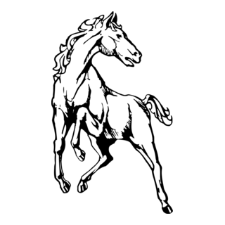 Horse Logo PNG Vector