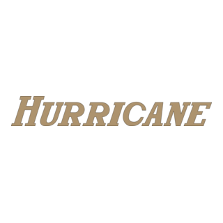 Hurricane Logo PNG Vector