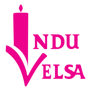 induvelsa Logo PNG Vector