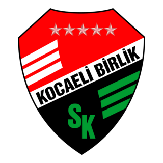 Kocaeli Birlikspor Logo PNG Vector