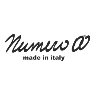 Numero 00 Logo PNG Vector
