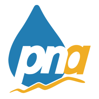 Pna Logo PNG Vector