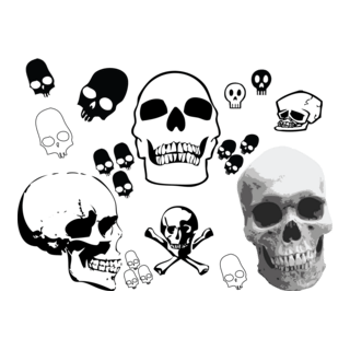 Skull Bro Logo PNG Vector