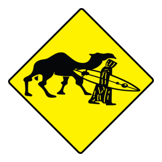 surf essauoira Logo PNG Vector