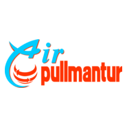 Air Pullmantur Logo PNG Vector