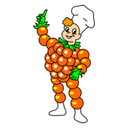 Flipje van Tiel Logo PNG Vector