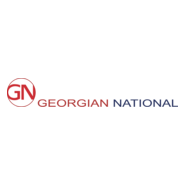 Georgian National airlines Logo PNG Vector