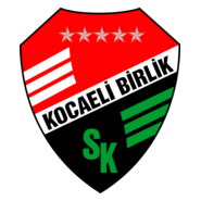 Kocaeli Birlikspor Logo PNG Vector