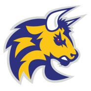 Torino Bulls Logo PNG Vector