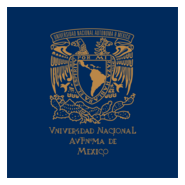 Universidad Nacional Autónoma de México (UNAM) Logo PNG Vector