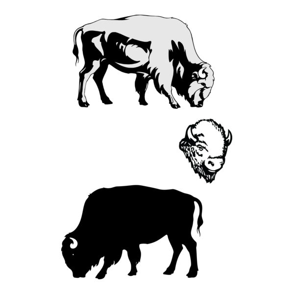 Bison Logo PNG Vector