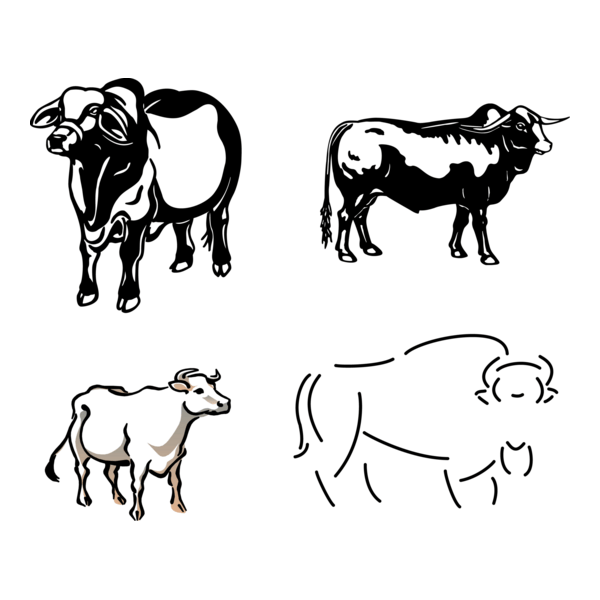 Buffalo Logo PNG Vector