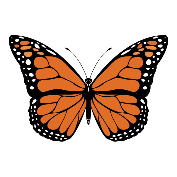 Butterfly Logo PNG Vector