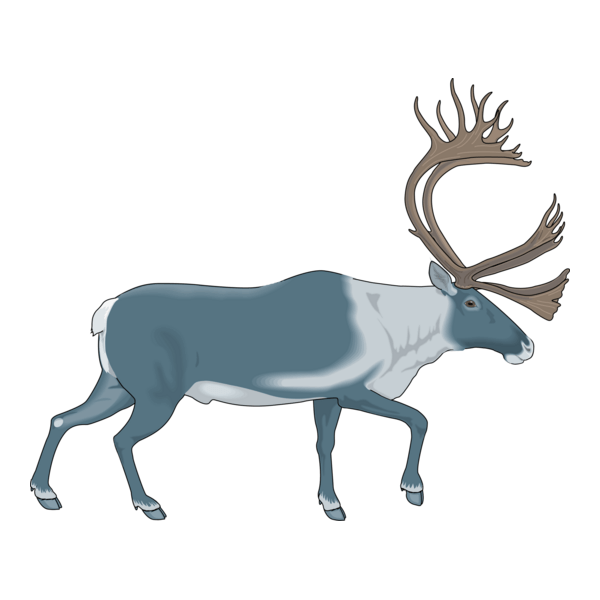 Caribou Logo PNG Vector