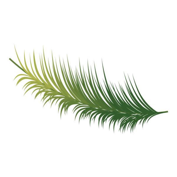 Coconout Leaf Logo PNG Vector