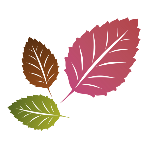 Colour Leafs Logo PNG Vector