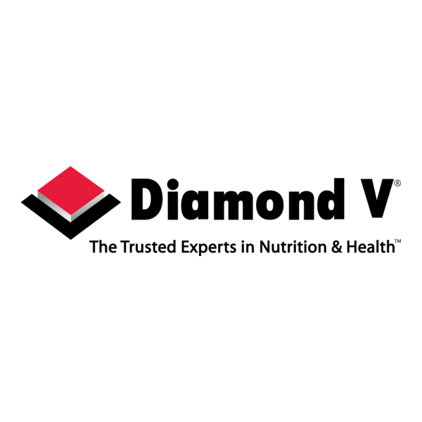 Diamond V Logo PNG Vector