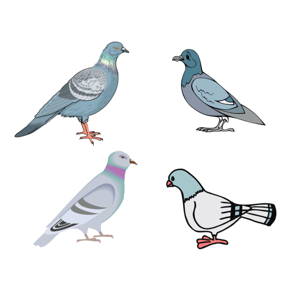 Dove Logo PNG Vector