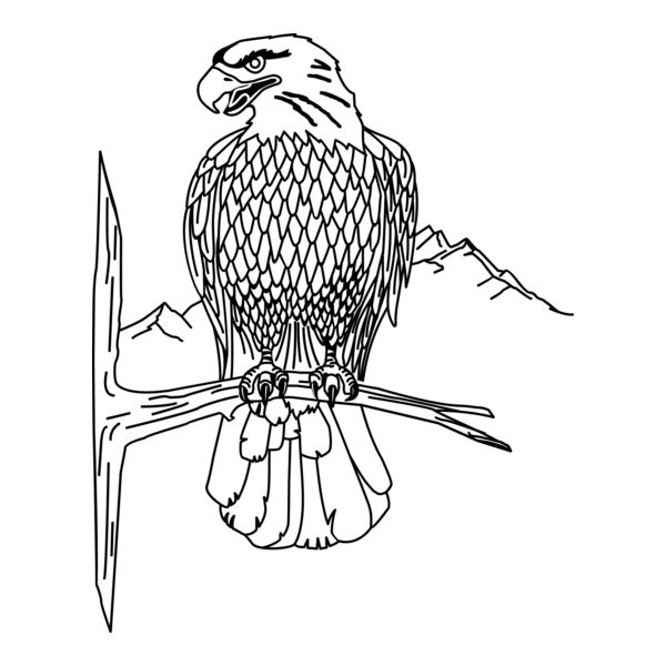 Eagle Logo PNG Vector