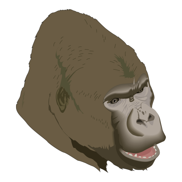 Gorilla Logo PNG Vector