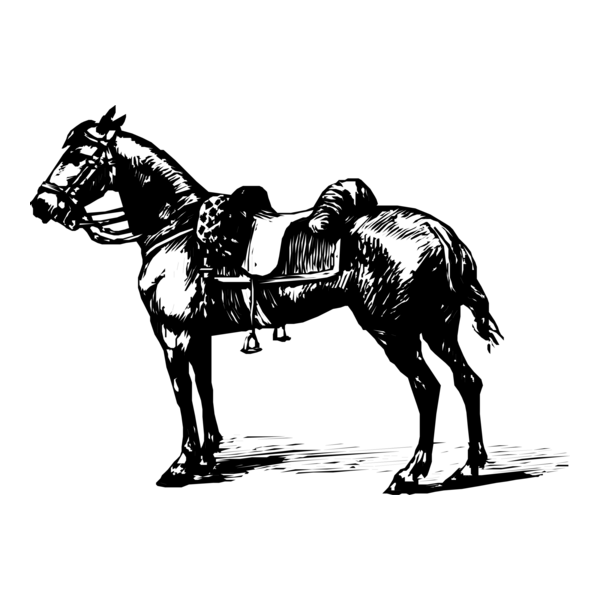 Horse Logo PNG Vector