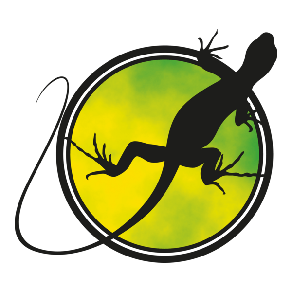 Iguana tasarim ve tanitim hizmetleri ltd.sti. Logo PNG Vector