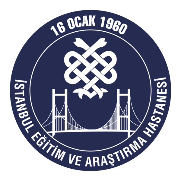 İstanbul Eğitim ve Araştırma Hastanesi Logo PNG Vector