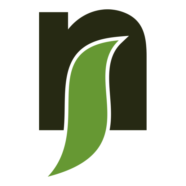 N S Alphabet Logo PNG Vector