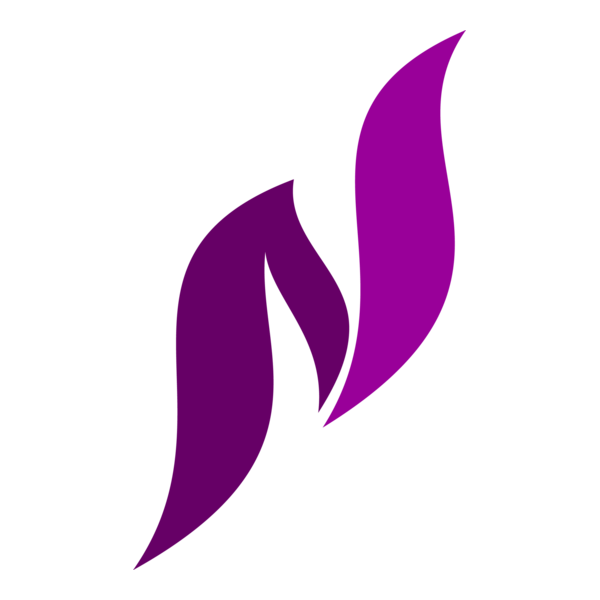 N S Letter Logo PNG Vector
