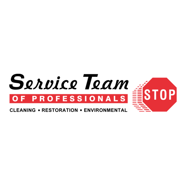 Service Team of Professionals Logo PNG Vector