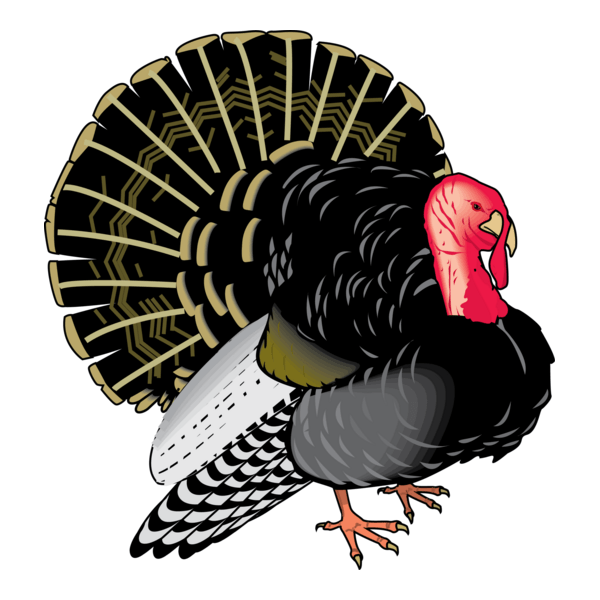 Turkey Logo PNG Vector