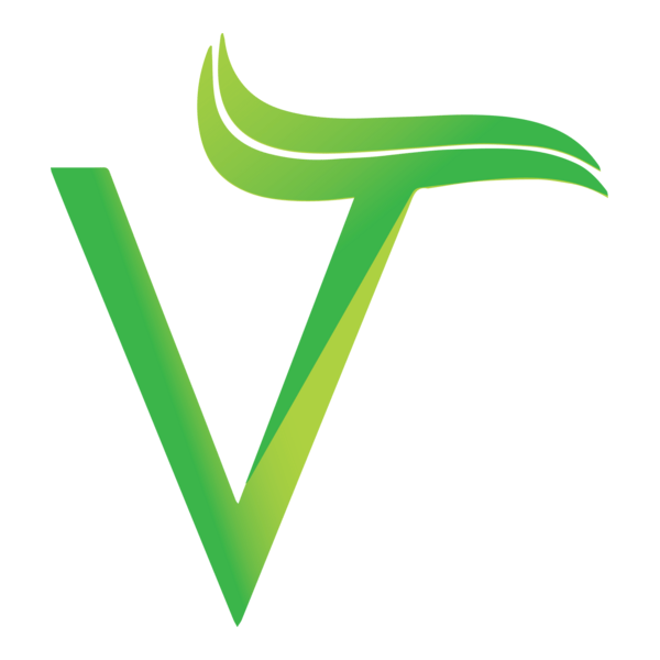 V letter Logo PNG Vector